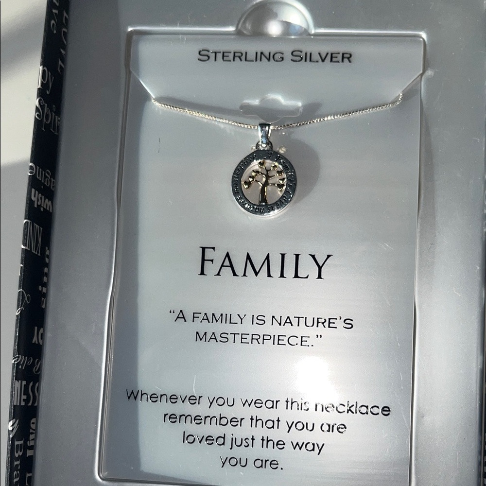 Sterling Silver Footnotes Brand “Family is Nature’s Masterpiece” Necklace w/ Box - Picture 3 of 6